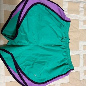 Nike Teal and Lavender Athletic Shorts